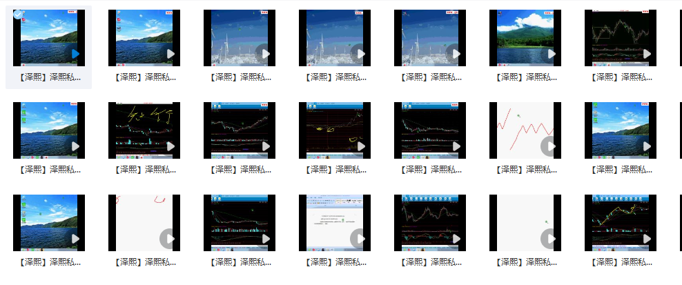 《泽熙私募操盘手视频初级课》共26集